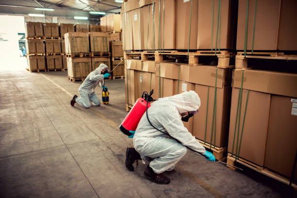 Best Mosquito Control Services  in Robbins, IL