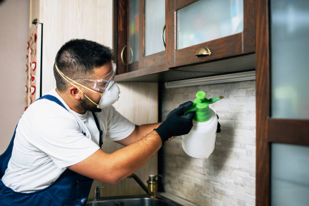 Best Best Pest Control Companies  in Robbins, IL