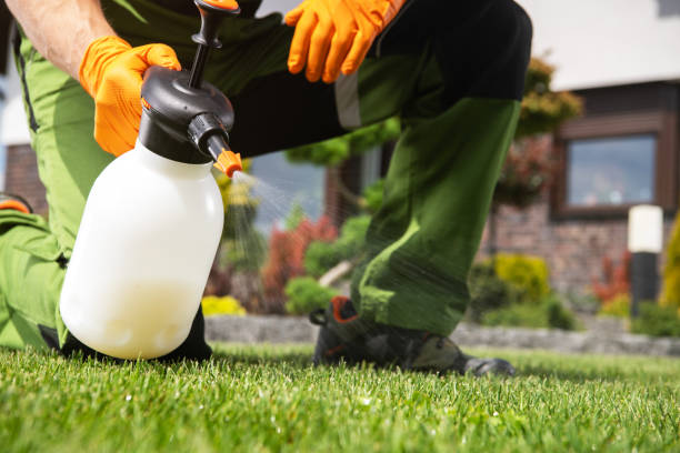 Best Residential Pest Control  in Robbins, IL