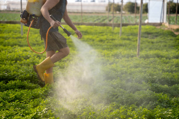 Best Affordable Exterminators  in Robbins, IL