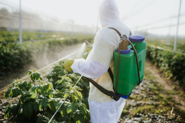 Best Pest Removal Services  in Robbins, IL